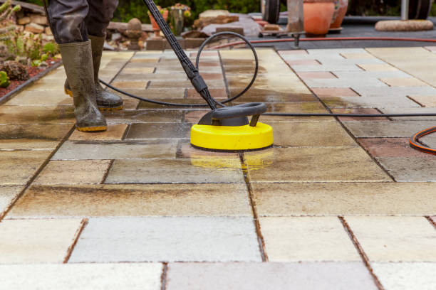 Best Animal Enclosure Cleaning  in Oak Grove, LA